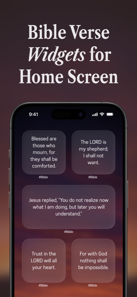 #Bible widget Custom Product Page, screenshot 3